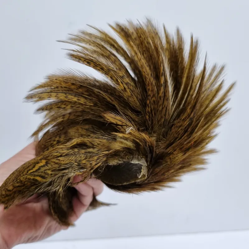 Whiting Coq de Leon Hen Cape in Speckled Golden Olive-12